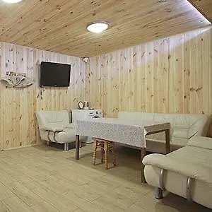 Villa срібні карпати Yablunytsya
