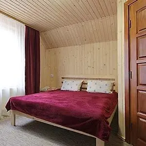 Villa срібні карпати *