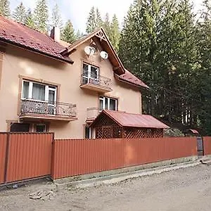 Villa срібні карпати Yablunytsya