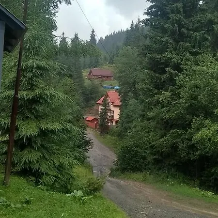 срібні карпати Villa