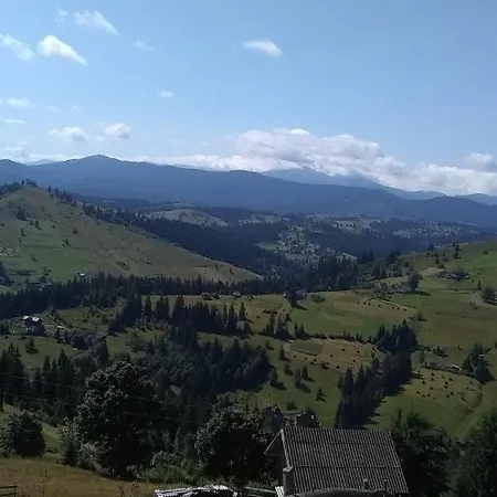 Villa срібні карпати *