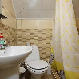 срібні карпати Villa *