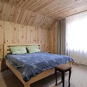 Villa срібні карпати *