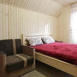 Villa срібні карпати