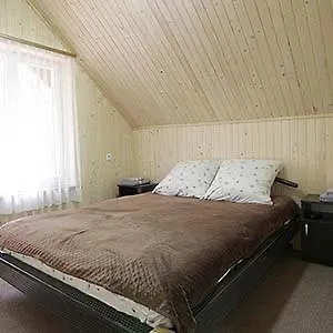 Villa срібні карпати *