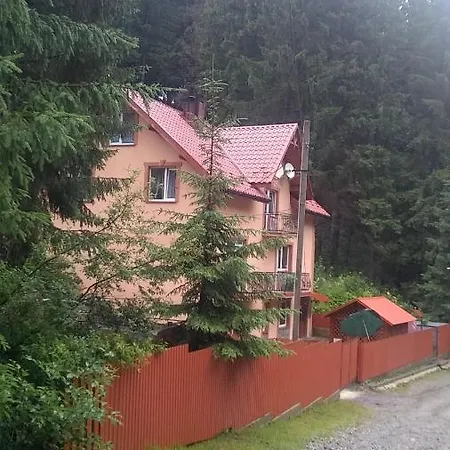 Villa срібні карпати *