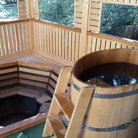 срібні карпати Villa Jablunytsja