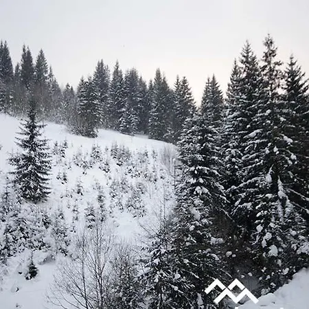 срібні карпати