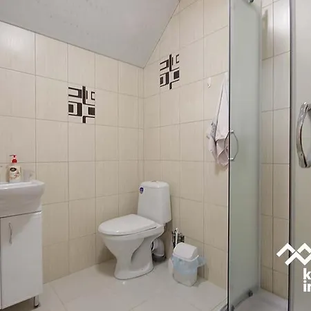 срібні карпати * Jablunytsja